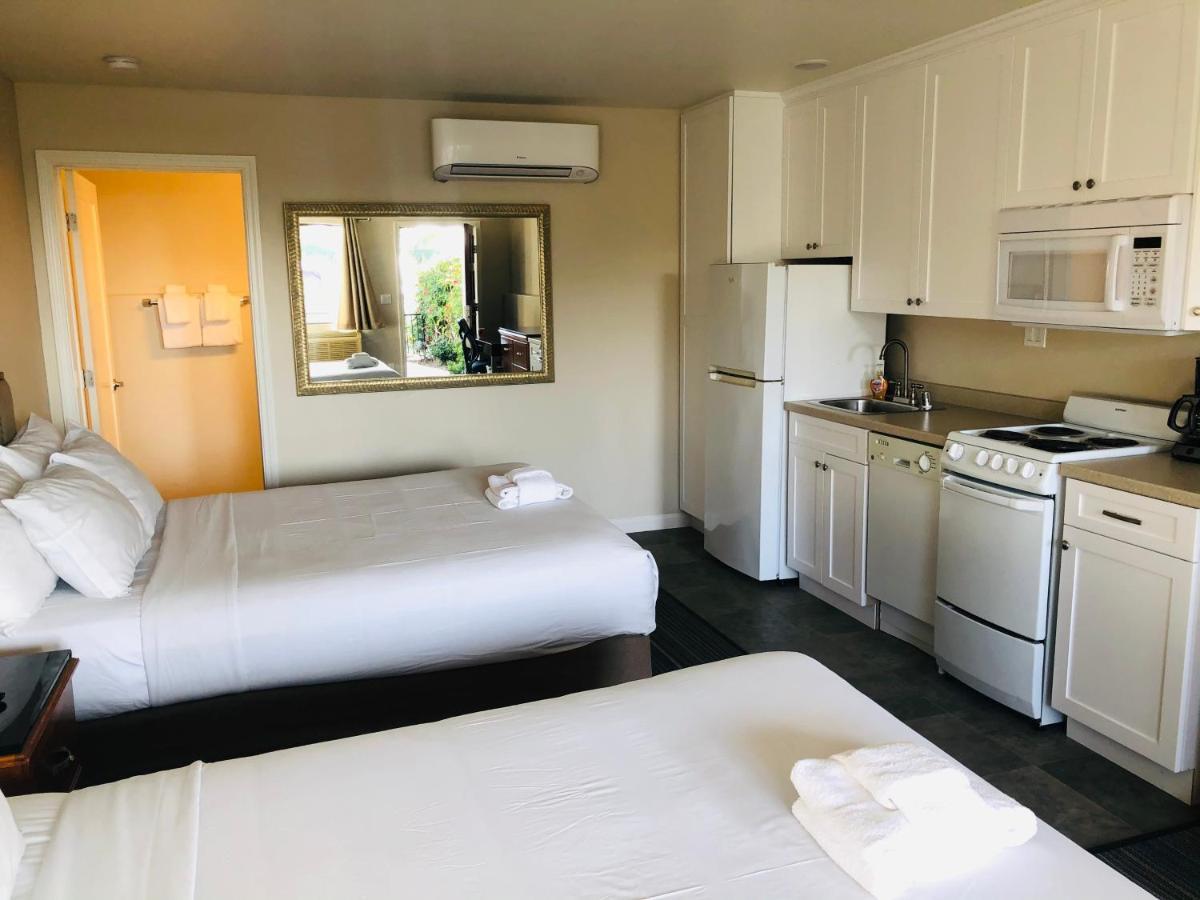 إنسينيتاس Moonlight Beach Motel المظهر الخارجي الصورة