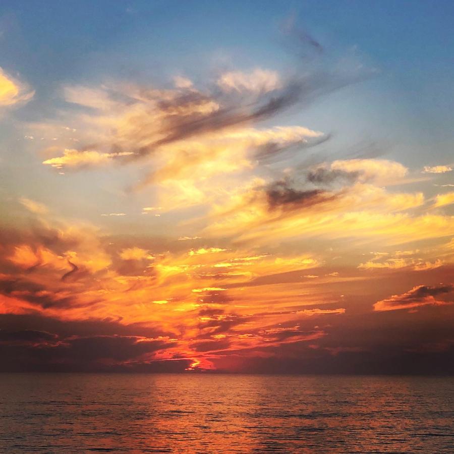 إنسينيتاس Moonlight Beach Motel المظهر الخارجي الصورة