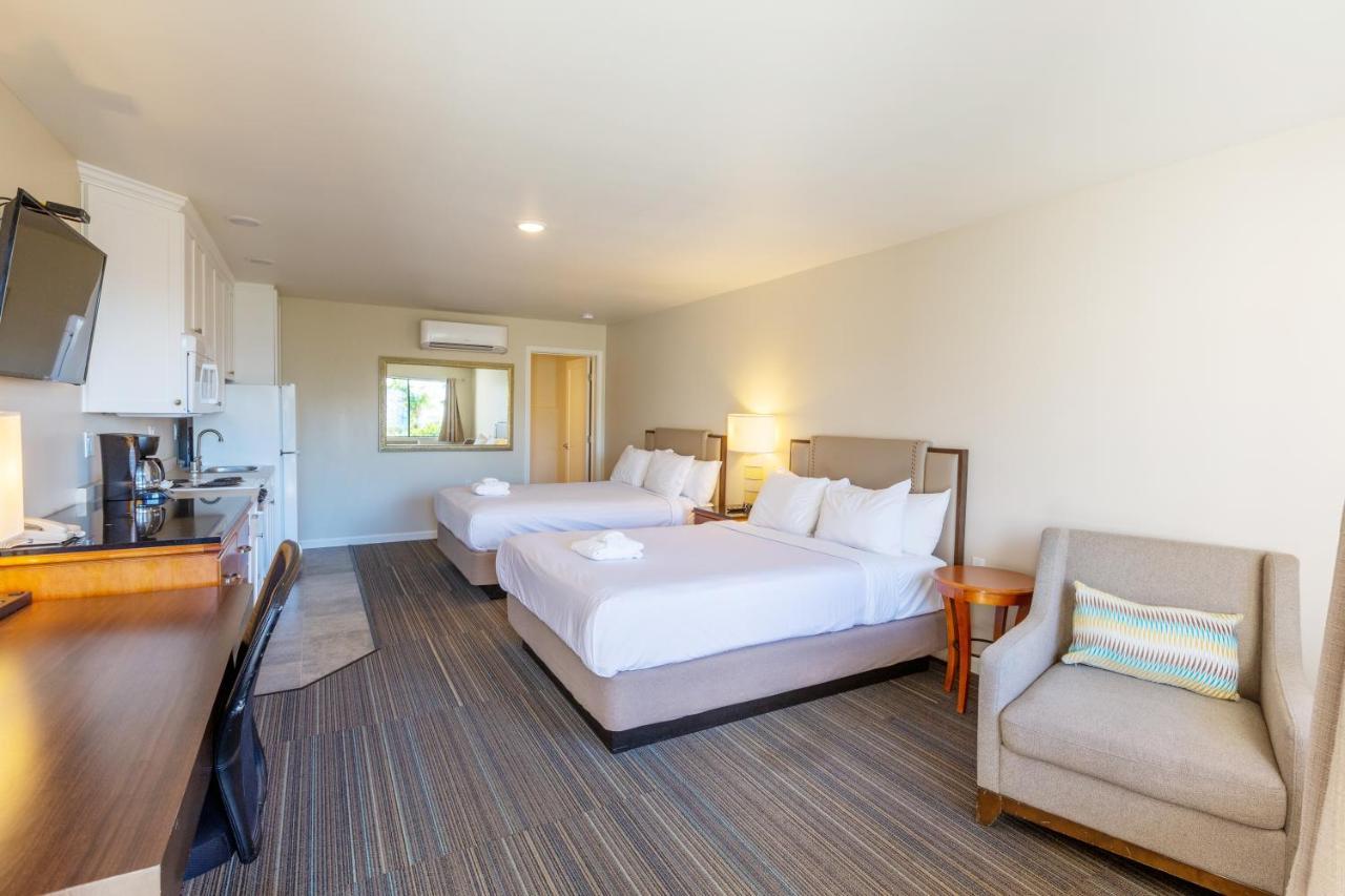 إنسينيتاس Moonlight Beach Motel المظهر الخارجي الصورة