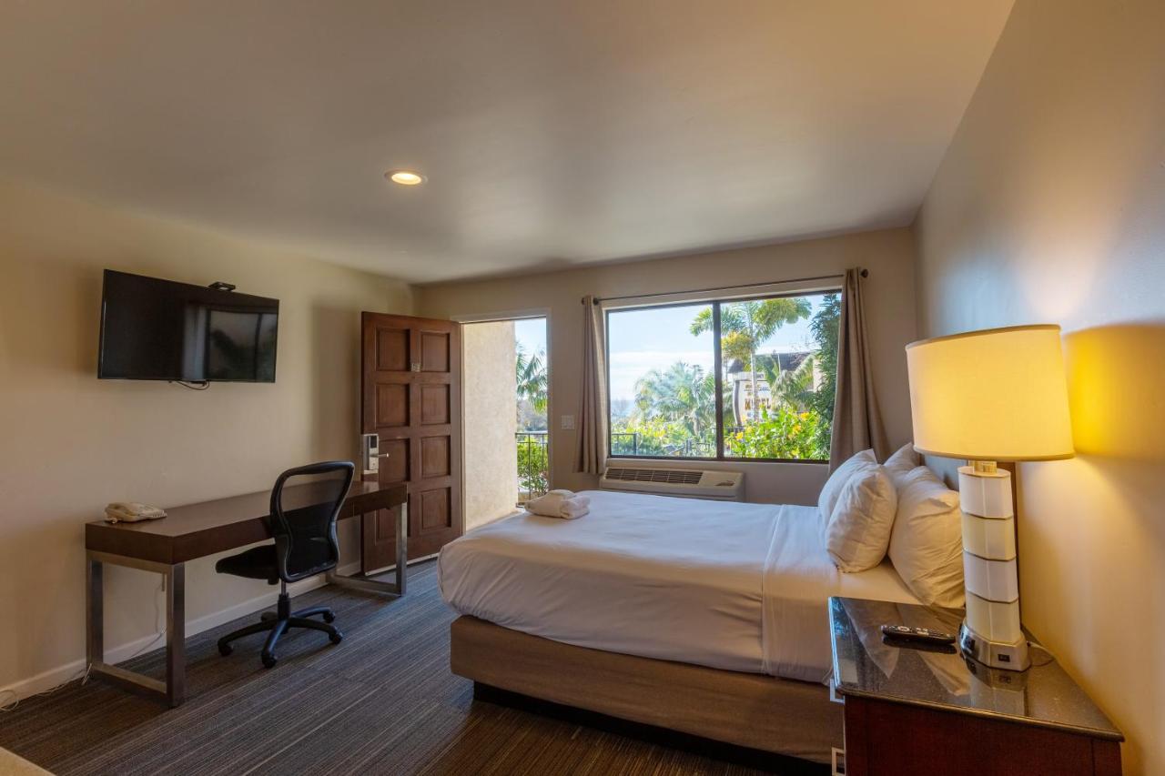 إنسينيتاس Moonlight Beach Motel المظهر الخارجي الصورة