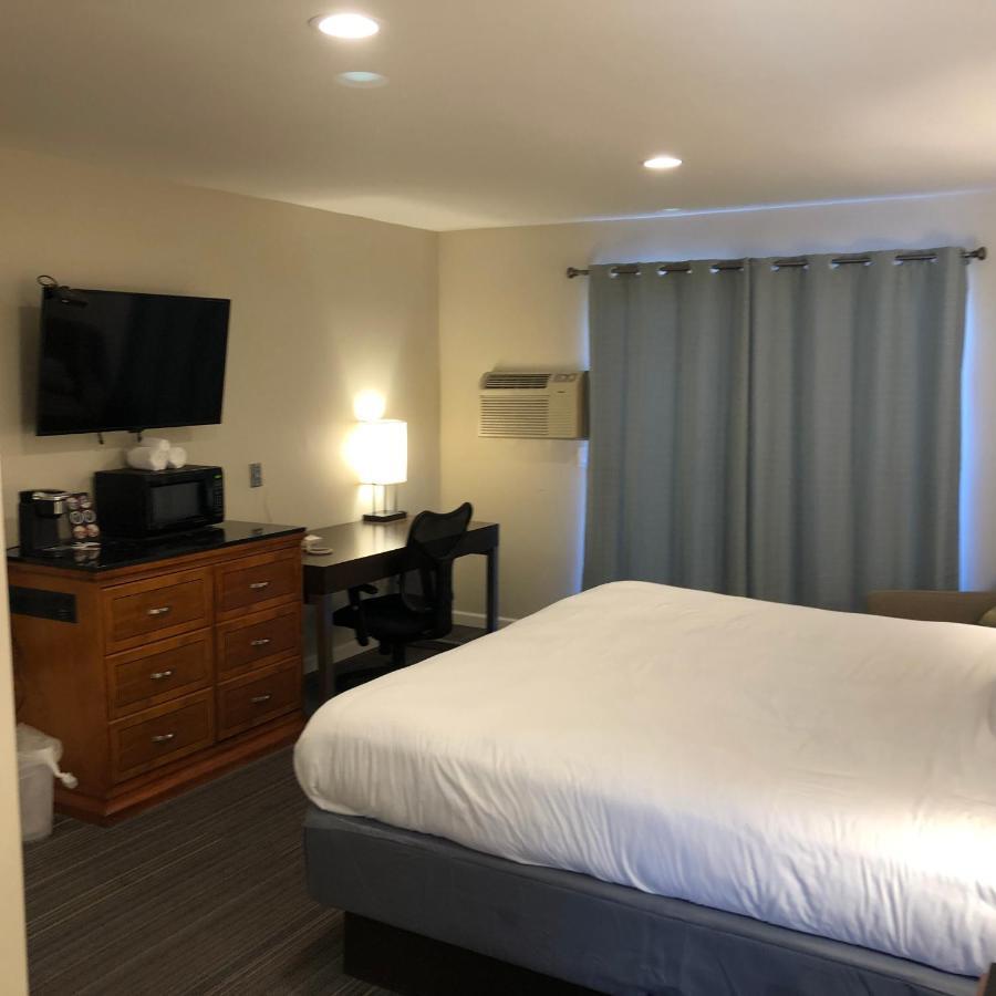 إنسينيتاس Moonlight Beach Motel المظهر الخارجي الصورة