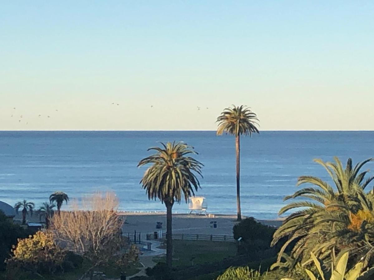 إنسينيتاس Moonlight Beach Motel المظهر الخارجي الصورة